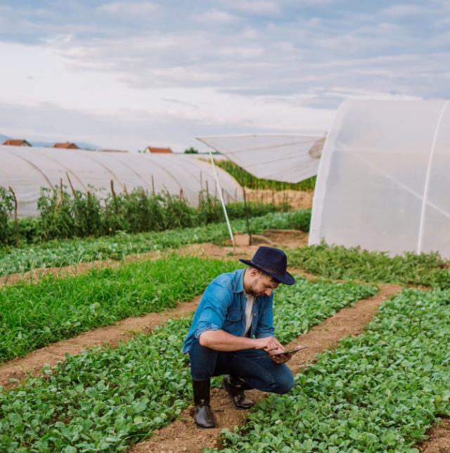 Agronomic services