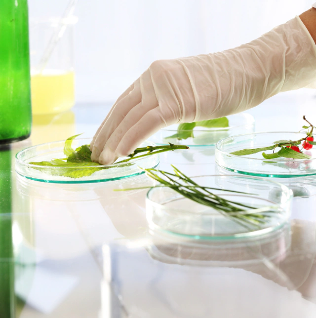 Laboratory analysis