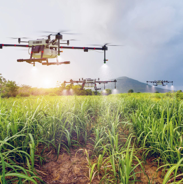 Crop protection and nutrition