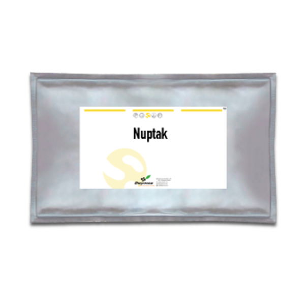 Nuptak