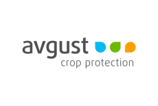 Avgust