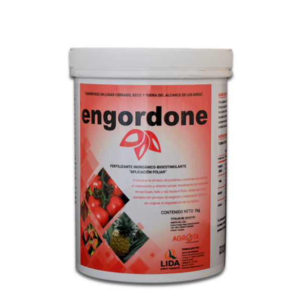 engordone