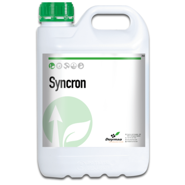 Syncron