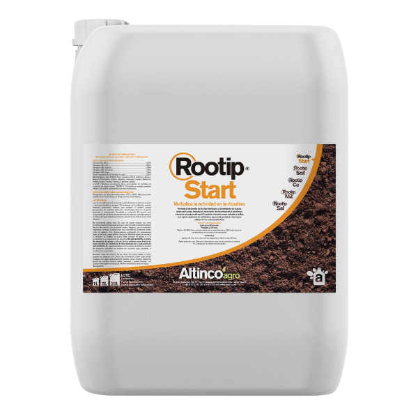 Rootip Start