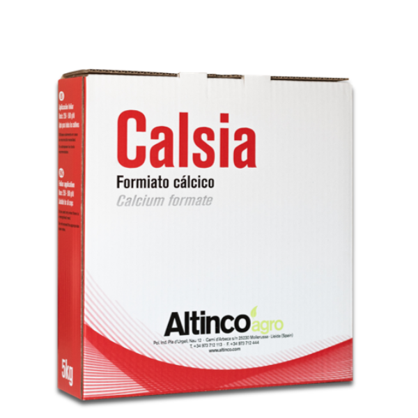 Calsia