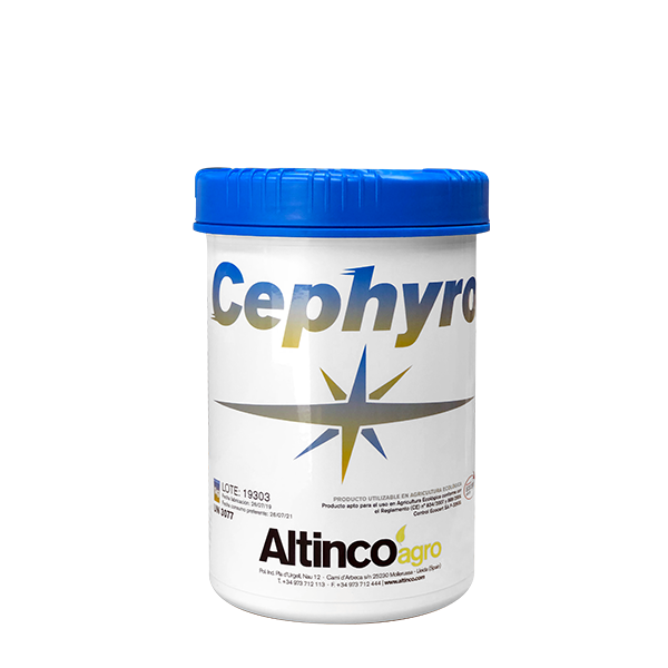 cephyro