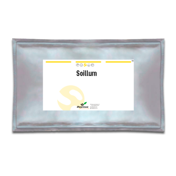 Soillum